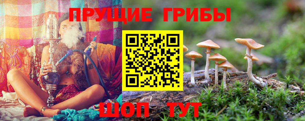 Волхов  Галлюциногенные грибы прущие грибы  Вход с VPN  Псилоцибиновые грибы Magic Shrooms 